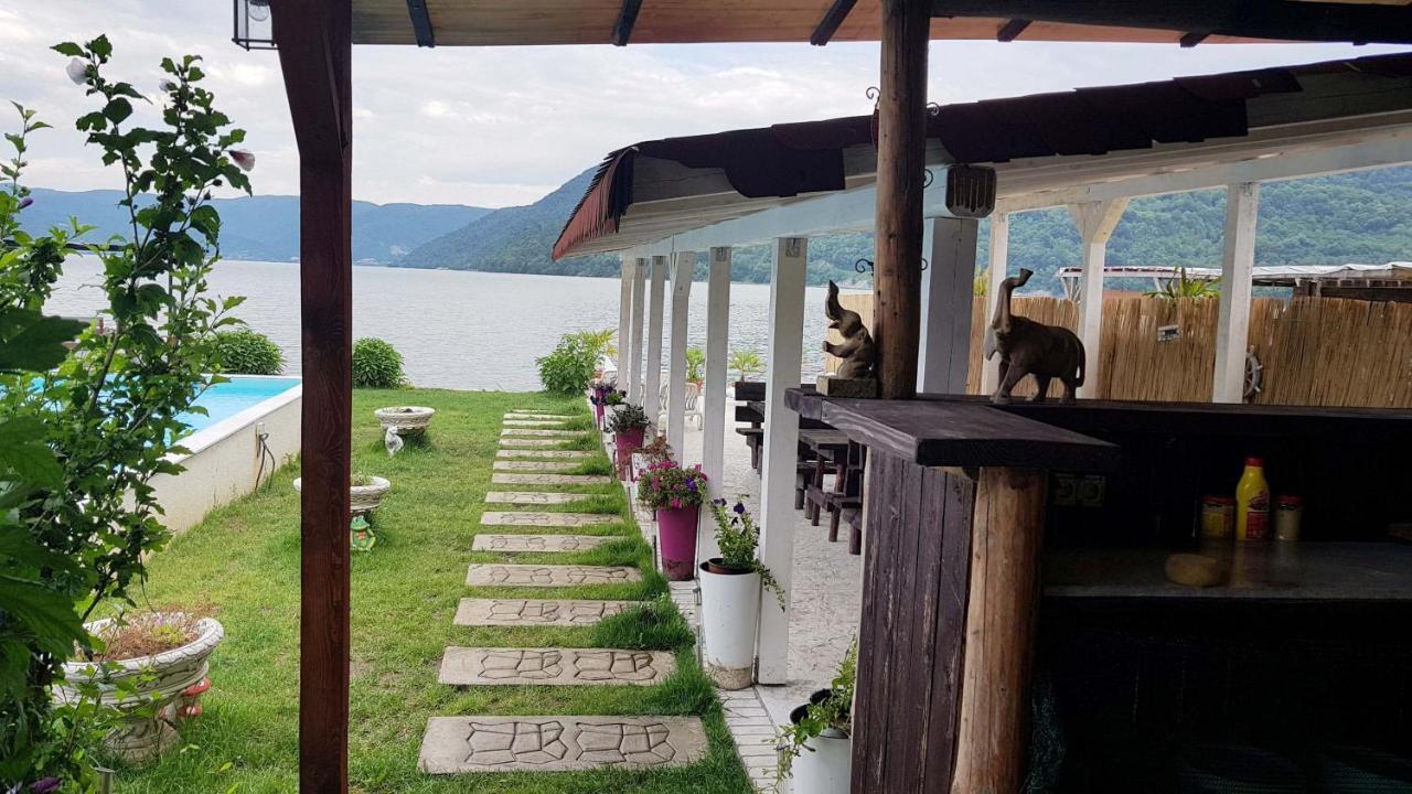 Hotel Casa Wanted Orşova Extérieur photo