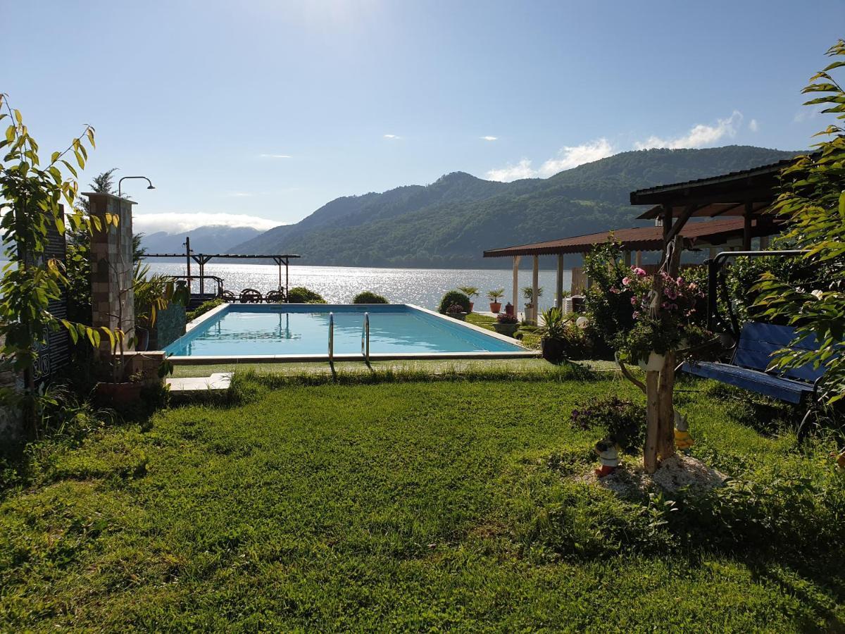 Hotel Casa Wanted Orşova Extérieur photo